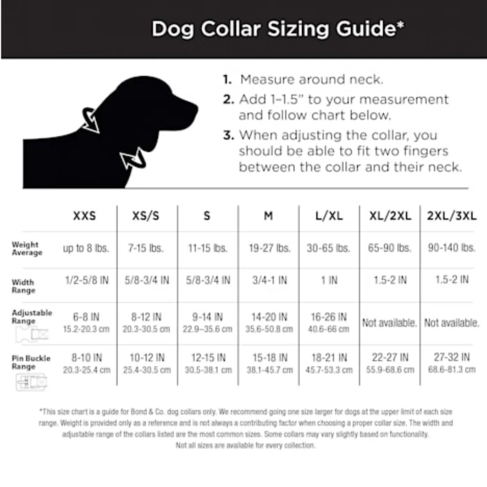 YOULY The Artist Blue & Multicolor Paint Splatter Dog Collar-L